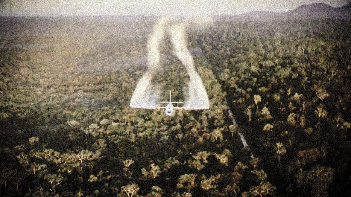 Blue Water Vets Article Photo  