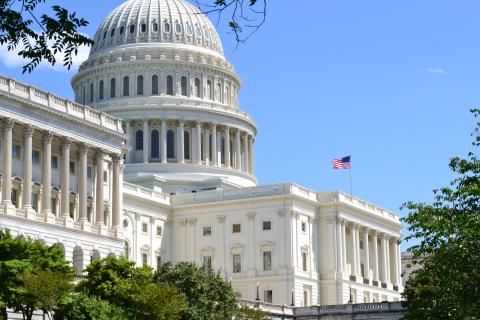 Capitol generic   Rights Tim Brown 